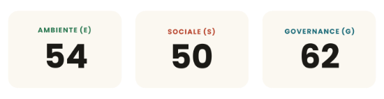 rating esg